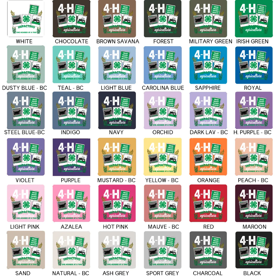 4-H Polaroid – Hoodie