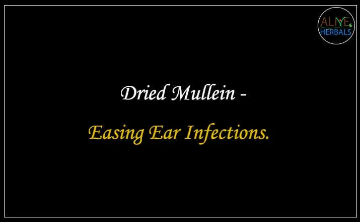Dried Mullein