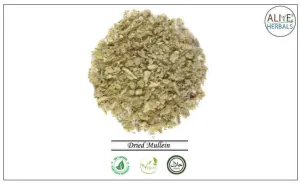 Dried Mullein