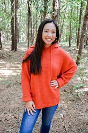 Pumpkin Spice Hoodie