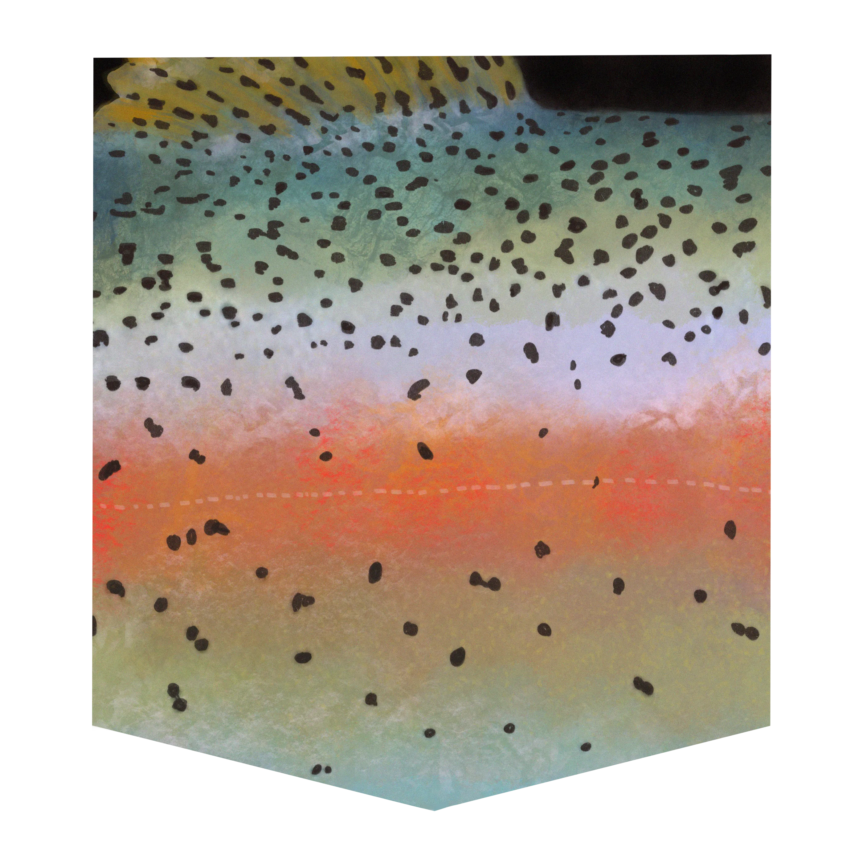 Rainbow Trout Kid's Pocket Tee