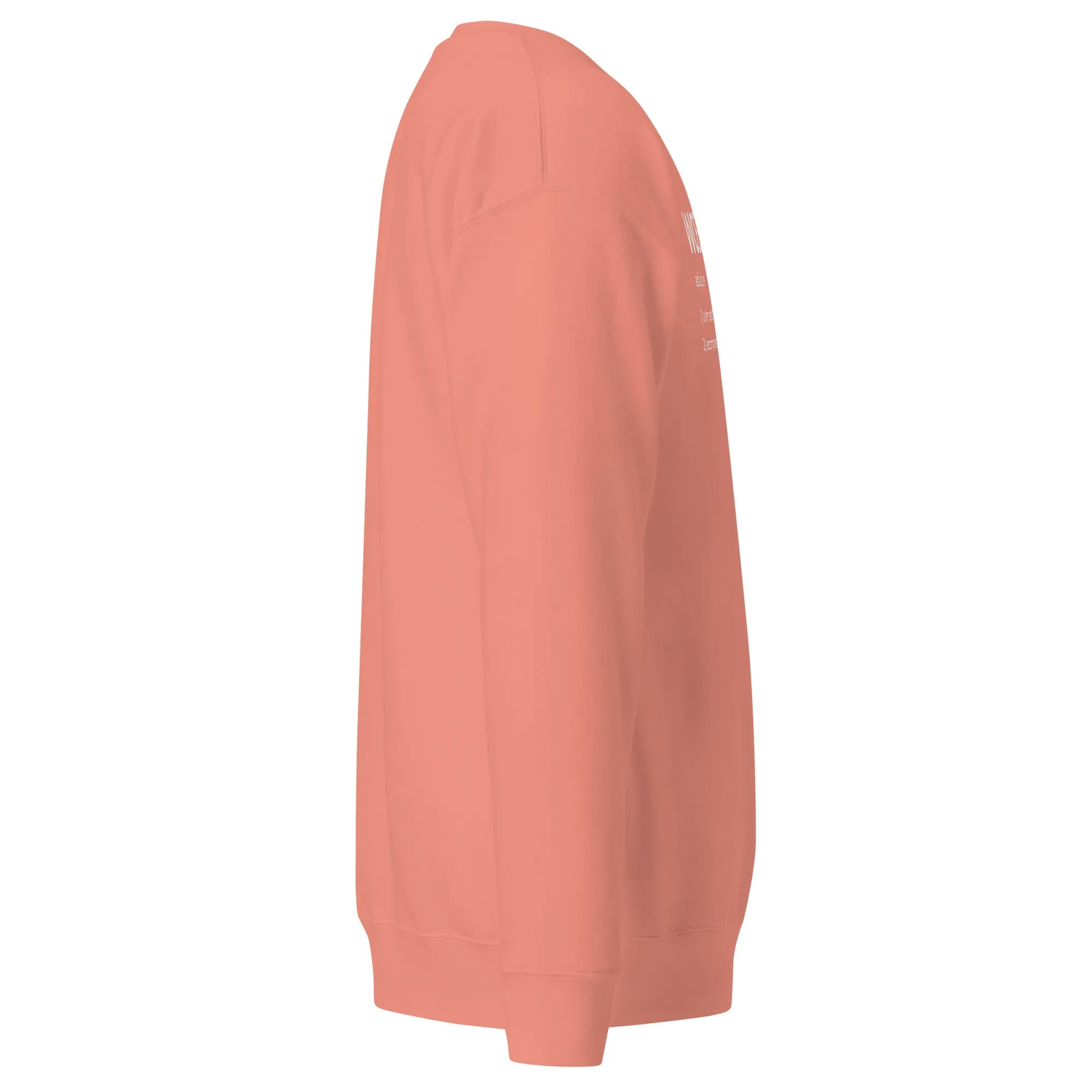 WOE.BE.GON Sweatshirt | Salt & Style